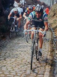 Roger de Vlaeminck
