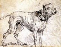 Drawing of a dog by Jan Fyt