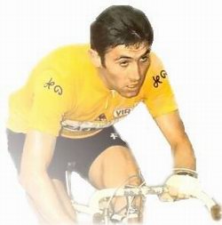 merckx.jpg